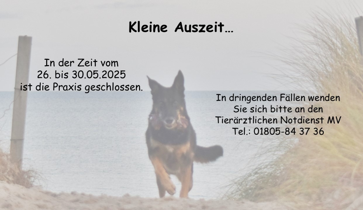 Urlaub 2025